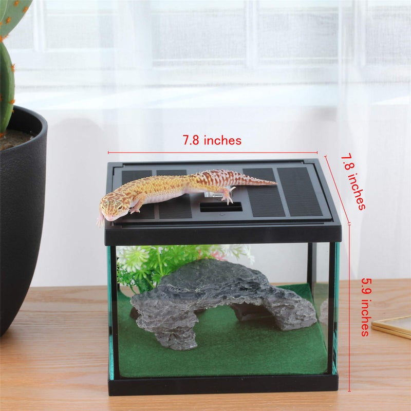 crapelles Black Small Vertical Insect GlassTerrarium, 7.8x7.8x10.8'' Reptile Tank, for Tarantula Larvae Caterpillar Frog Snail Spider Hermit Crab Habitat Container House Cricket Breeding Box - Image 3